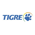 tigre